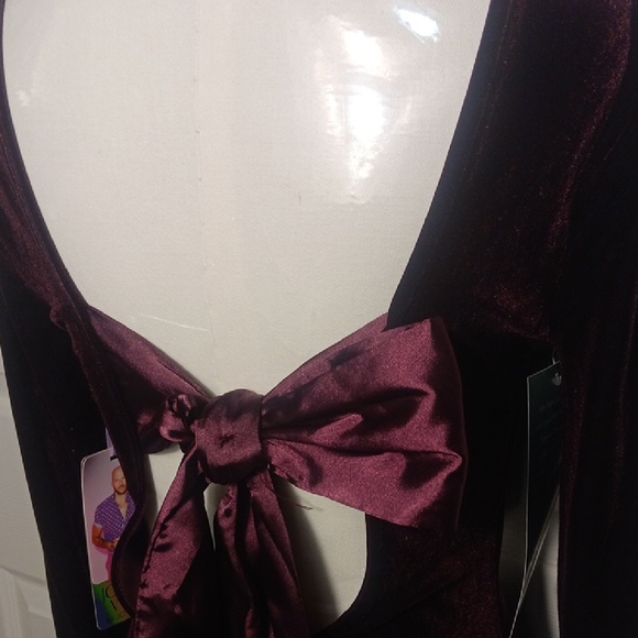 NWT. Johnny Wujek Chic Long Sleeve Velvet Dress in Plum/Deep Burgundy XS - Picture 6 of 14